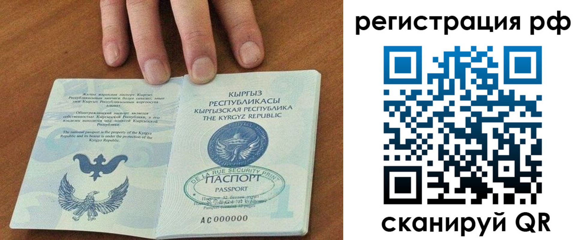 найти адрес прописки в Новозыбкове